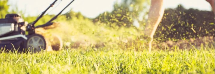 Person mäht Rasen mit Rasenmäher